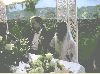 Wedding 087.jpg