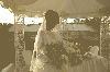 Wedding,Jim y Araly - 198.jpg